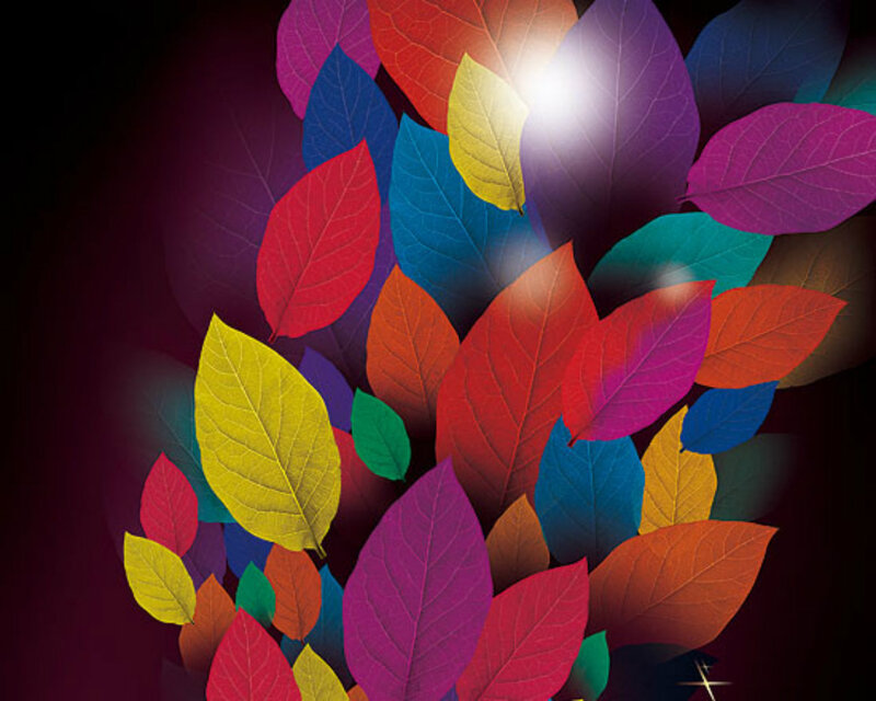 Colorful Leaves on Dark Background