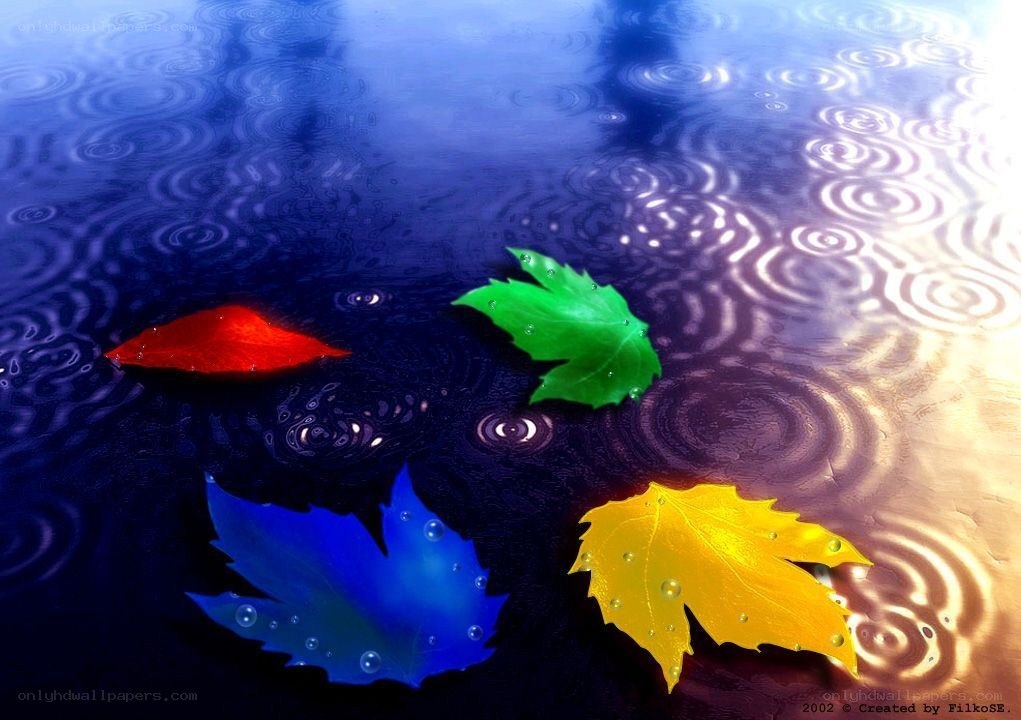 Colorful leaves on raindrops