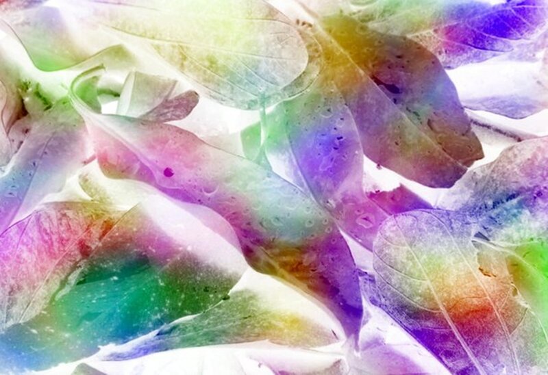 Colorful Leaves Overlay