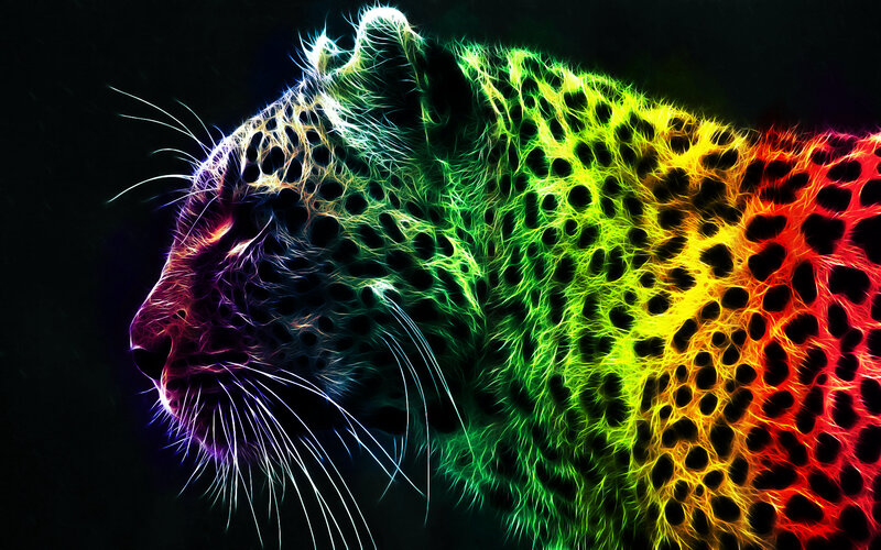 colorful leopard digital art