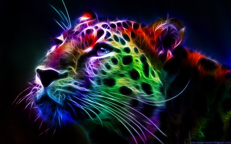 Colorful Leopard Head — Rainbow