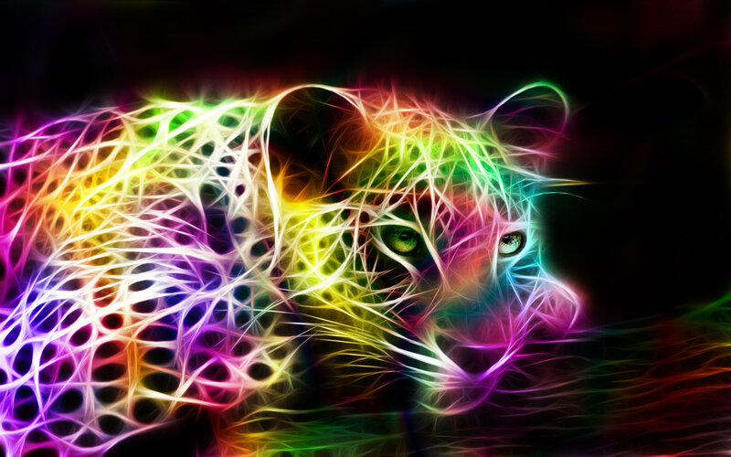 Colorful Leopard Head — Rainbow, Vibrant