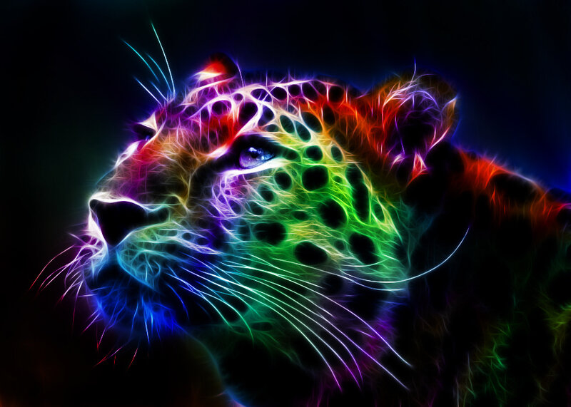 Colorful Leopard Head