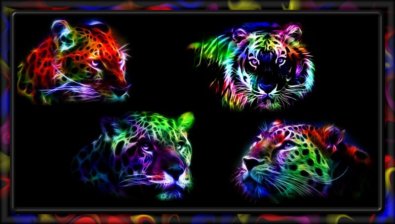 Colorful Leopard Heads