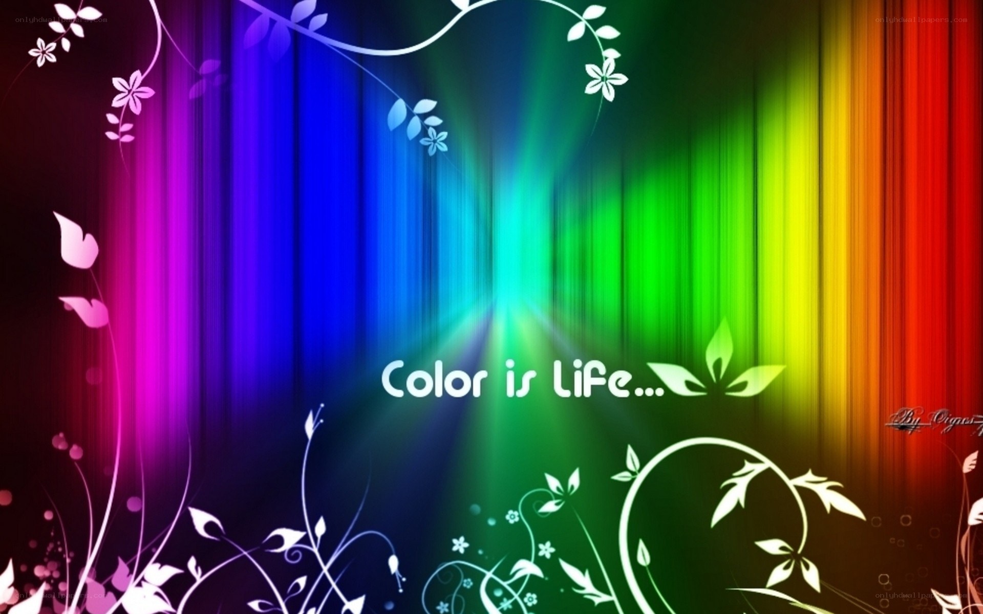 colorful life wallpaper