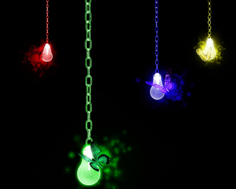 colorful light bulbs with butterflies