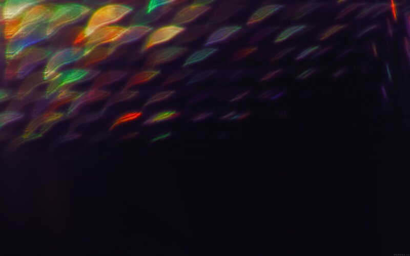 Colorful Light Patterns — Black, Dynamic, Abstract