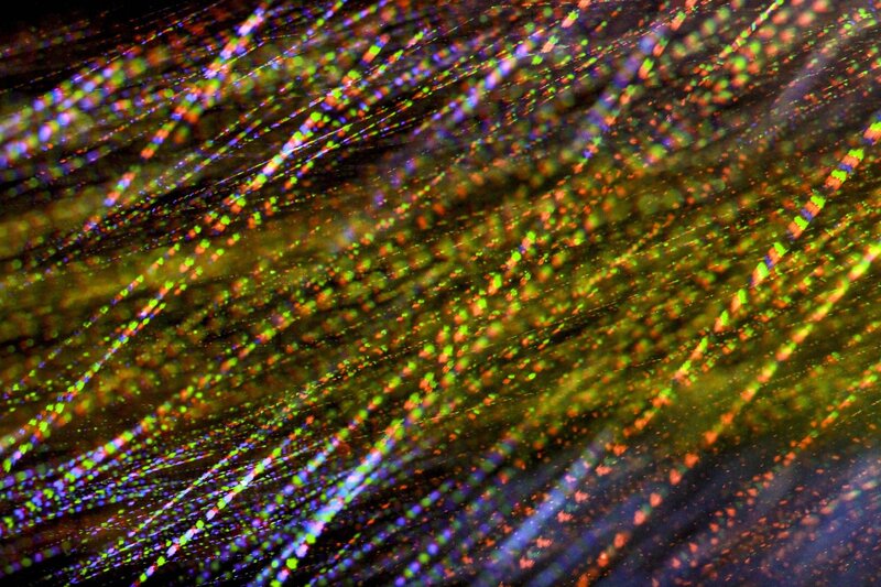 colorful light streaks
