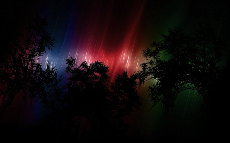 Colorful light streaks in forest
