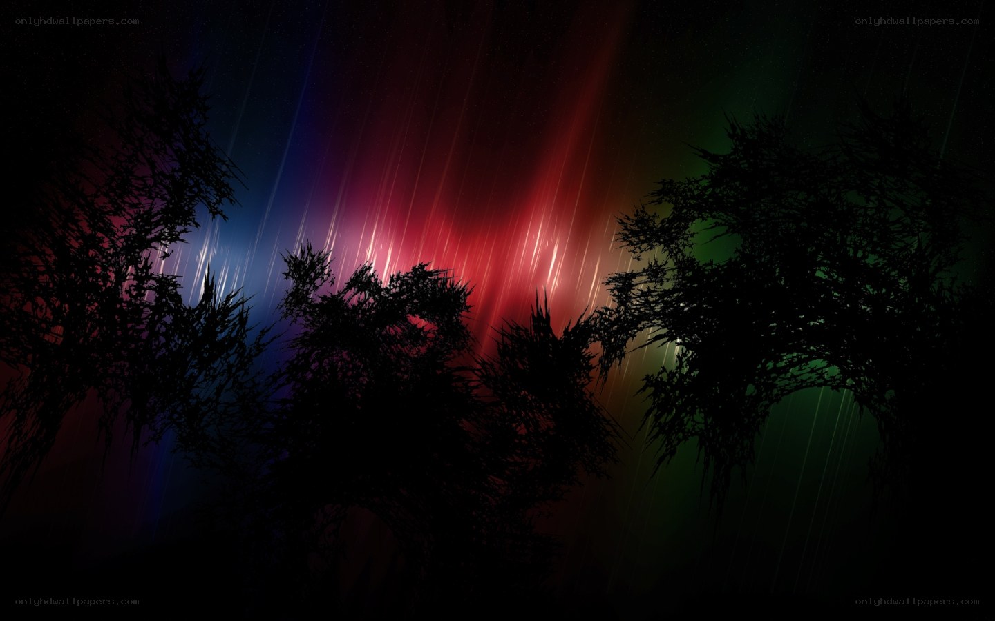 Colorful light streaks in forest