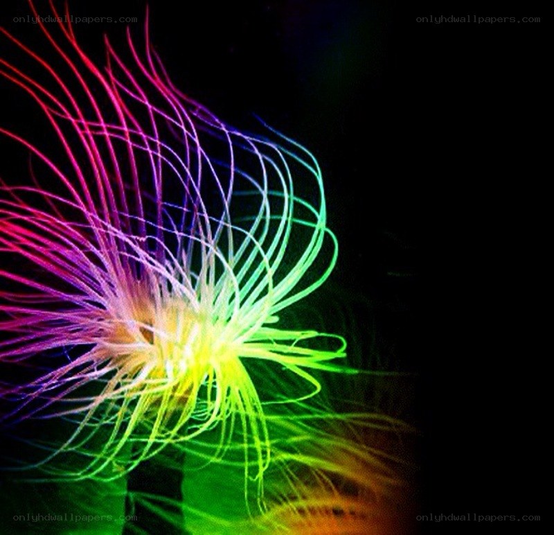 colorful light trails