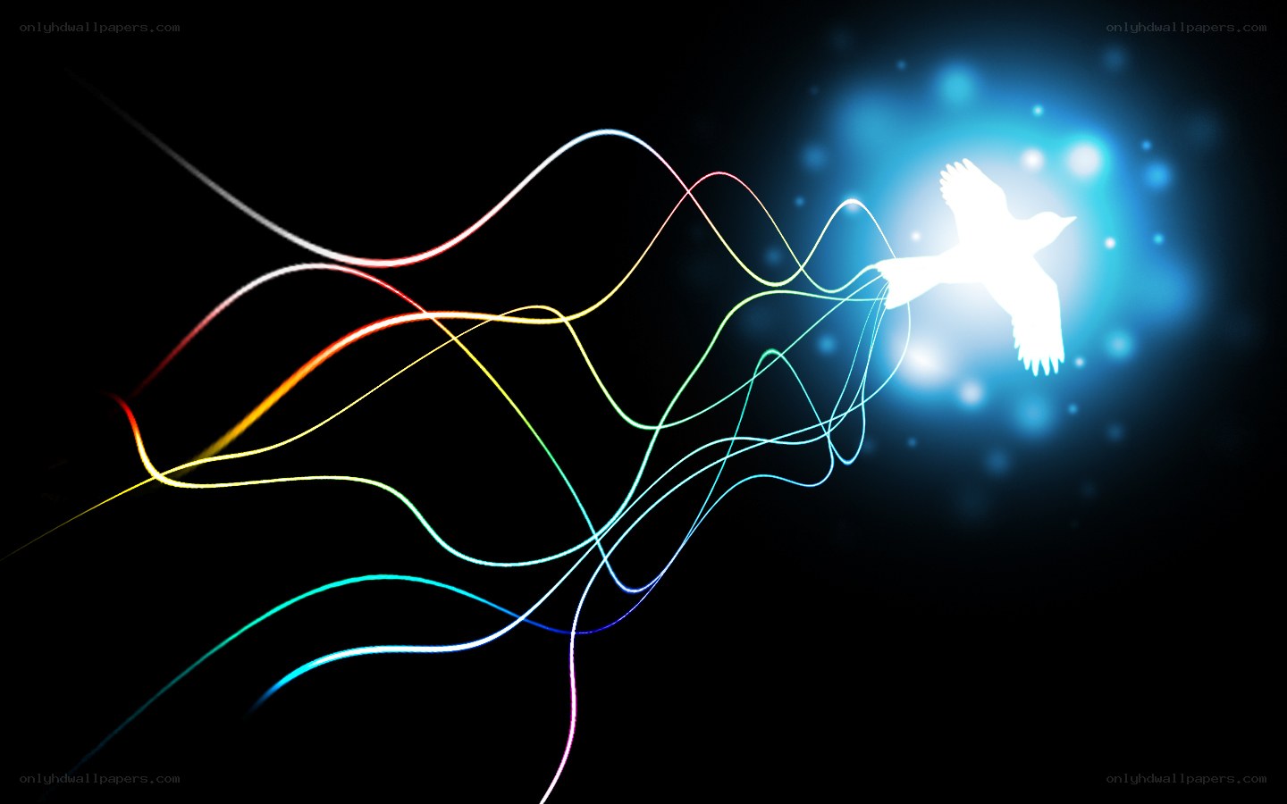 colorful light trails and bird