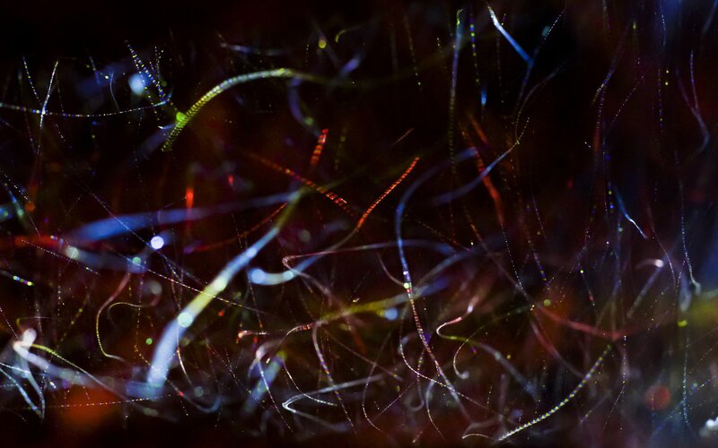 Colorful Light Trails — Black, Dynamic, Abstract, Light Streaks