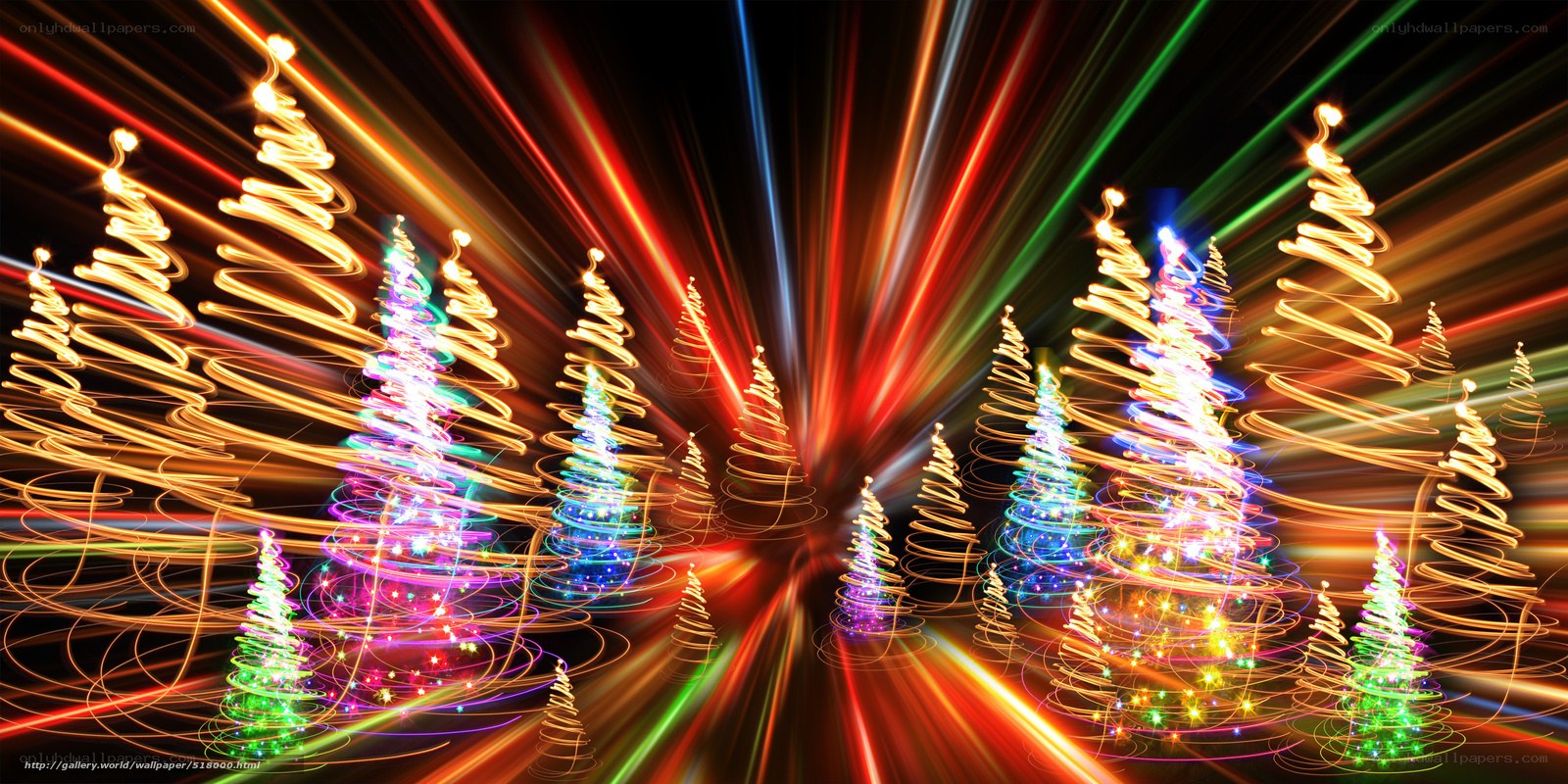 Colorful light trails form Christmas trees