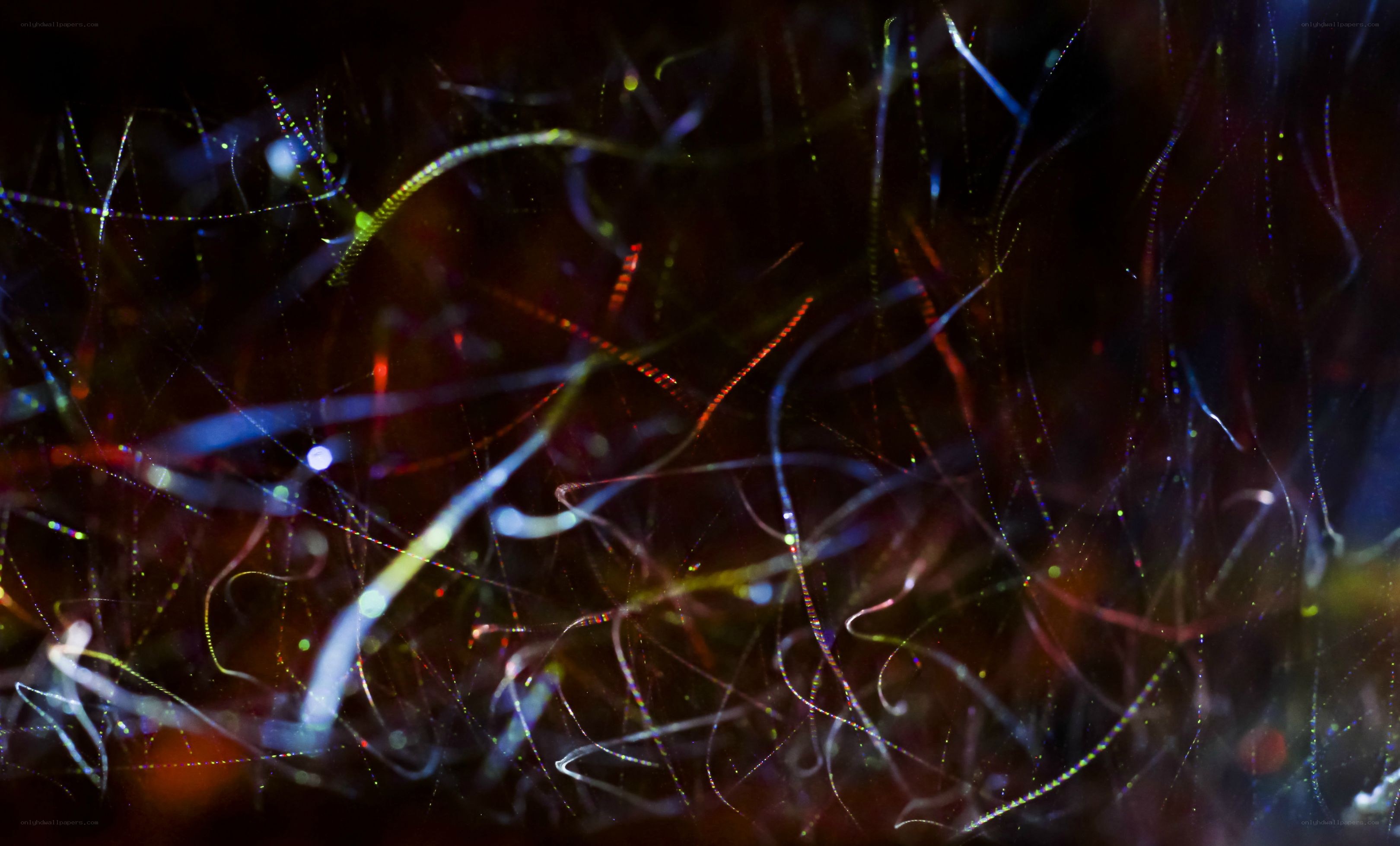 Colorful light trails in darkness