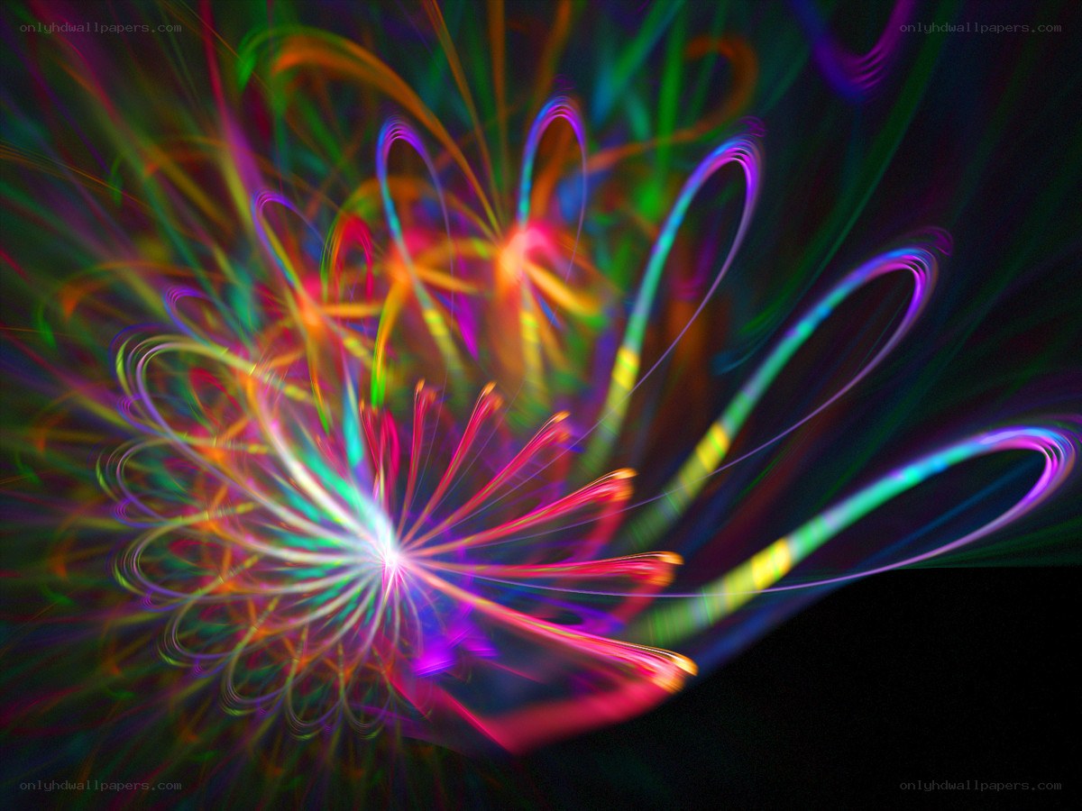 Colorful light trails on black