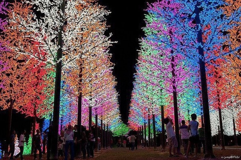 Colorful Light Trees