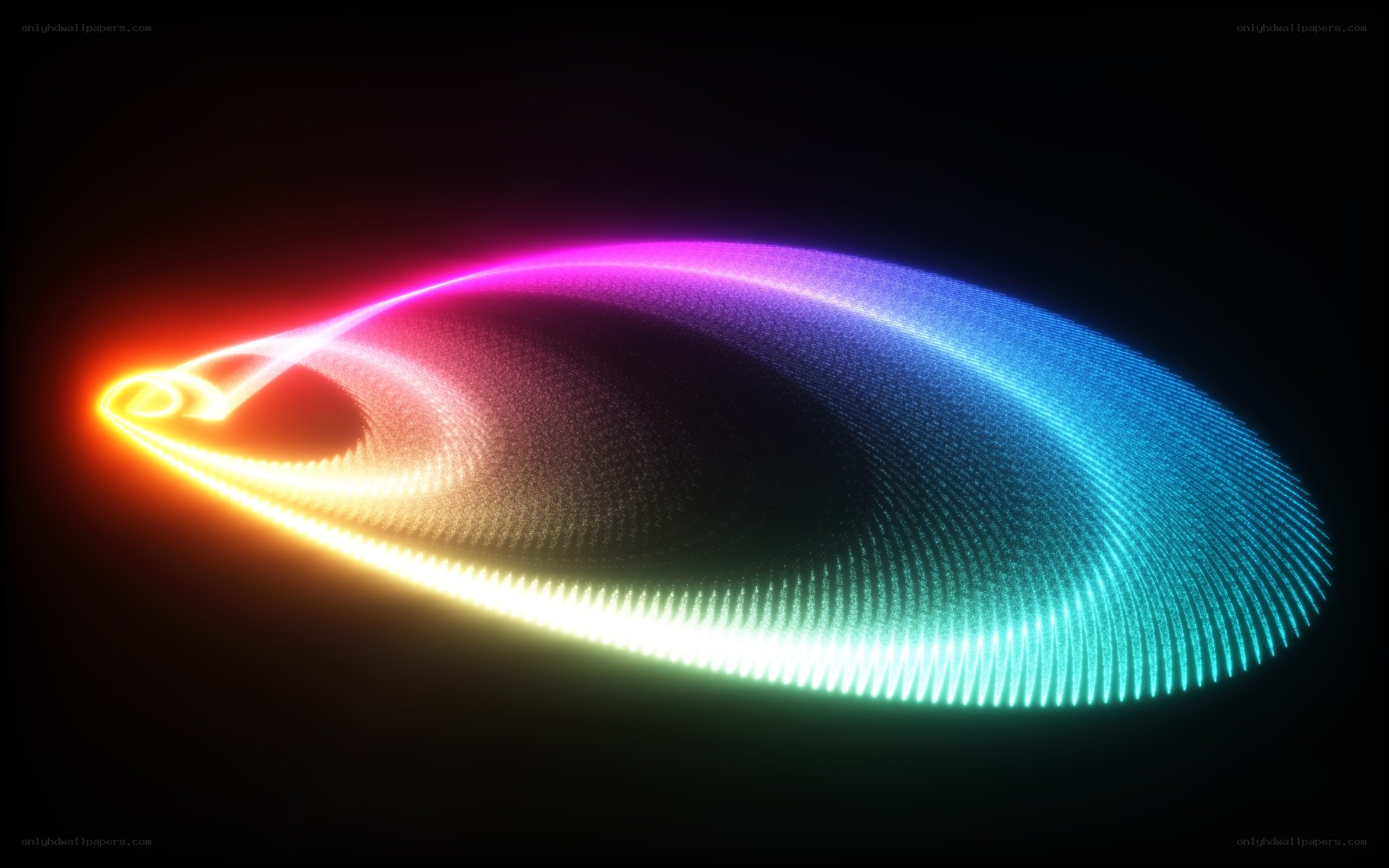 colorful light wave animation