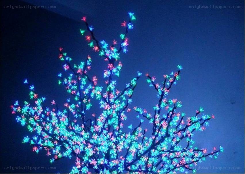 colorful lighted tree