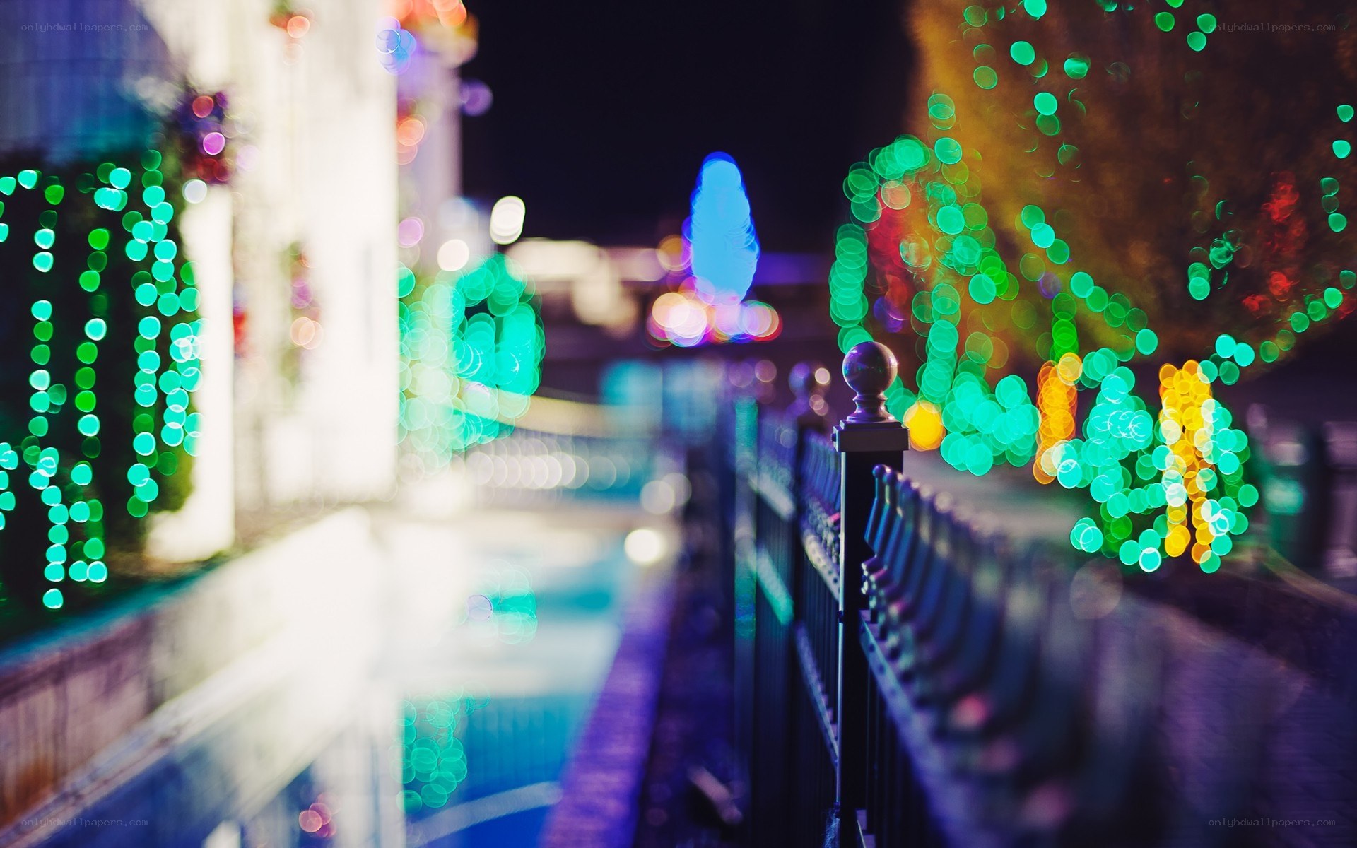colorful lights at night
