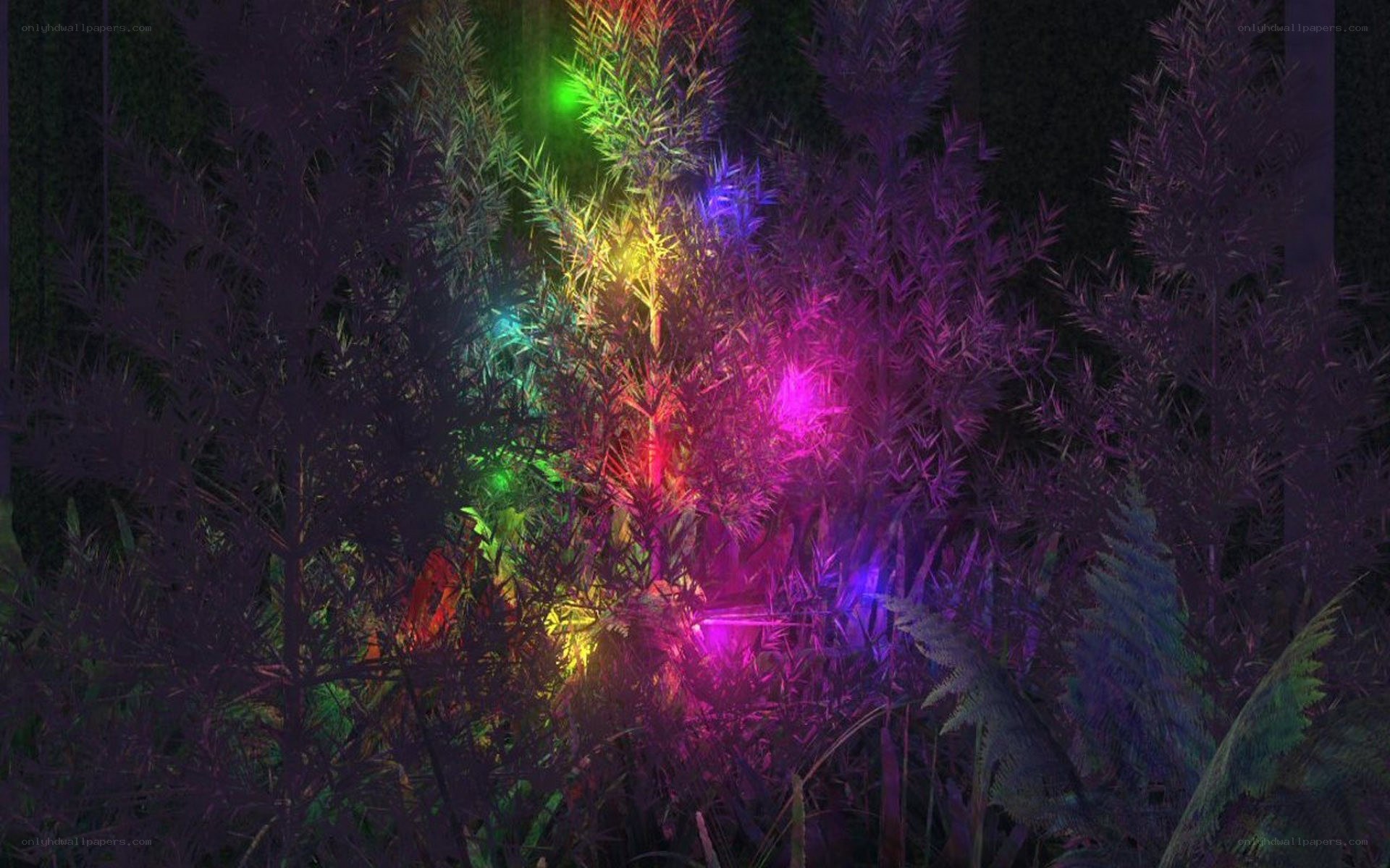 colorful lights in plants