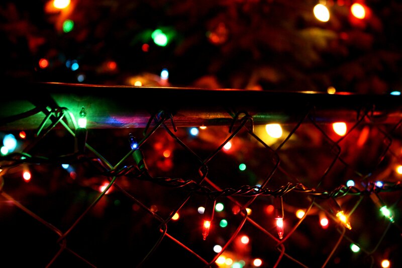 Colorful Lights on Fence