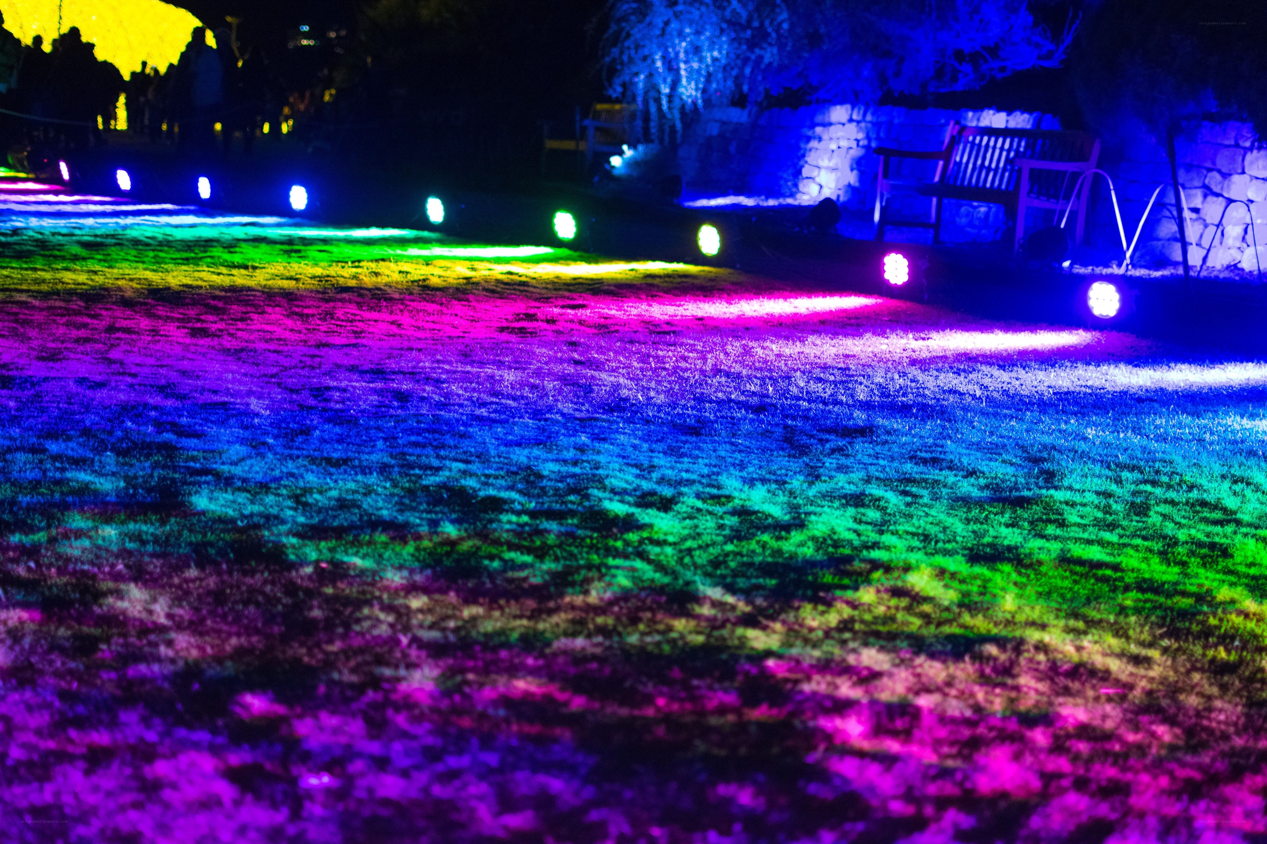 colorful lights on grass