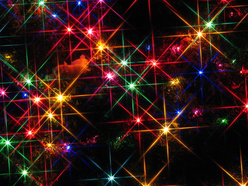 Colorful Lights on Tree
