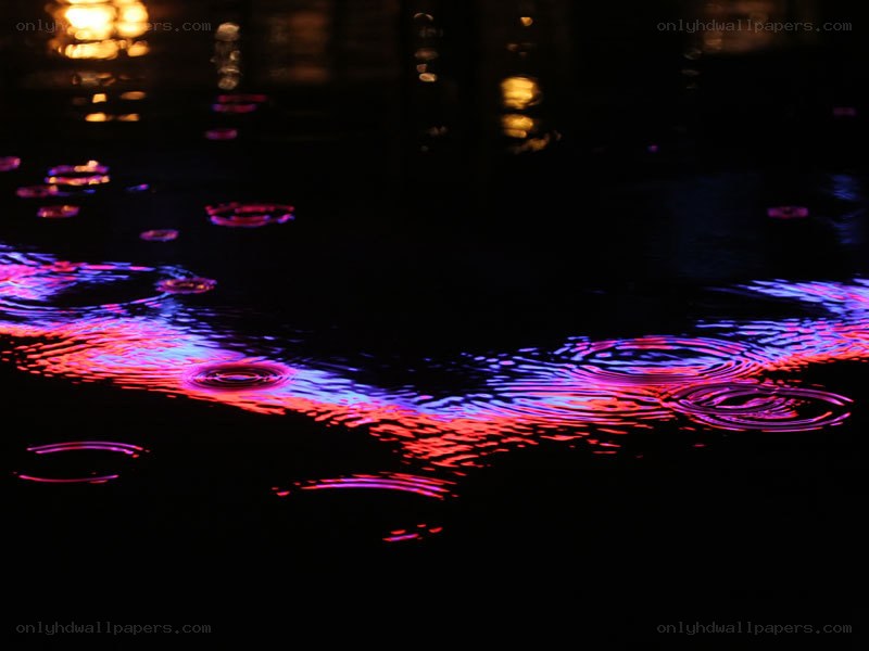 colorful lights on water