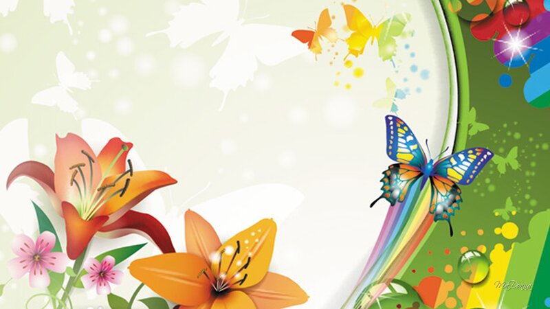 Colorful Lilies and Butterflies