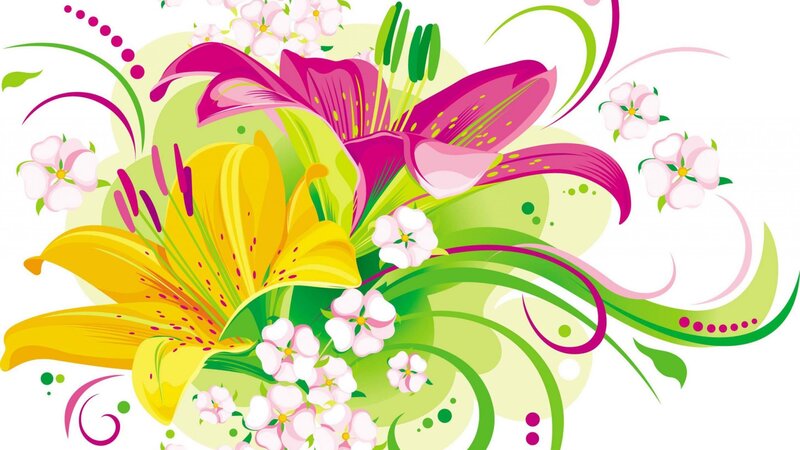 Colorful Lilies and Flowers