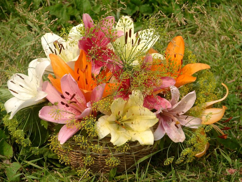 Colorful Lilies in Basket