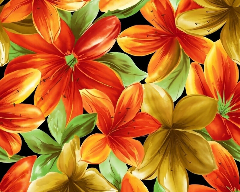 Colorful Lily Flowers