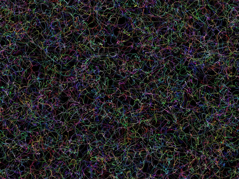 Colorful Lines on Black — Chaotic, Abstract