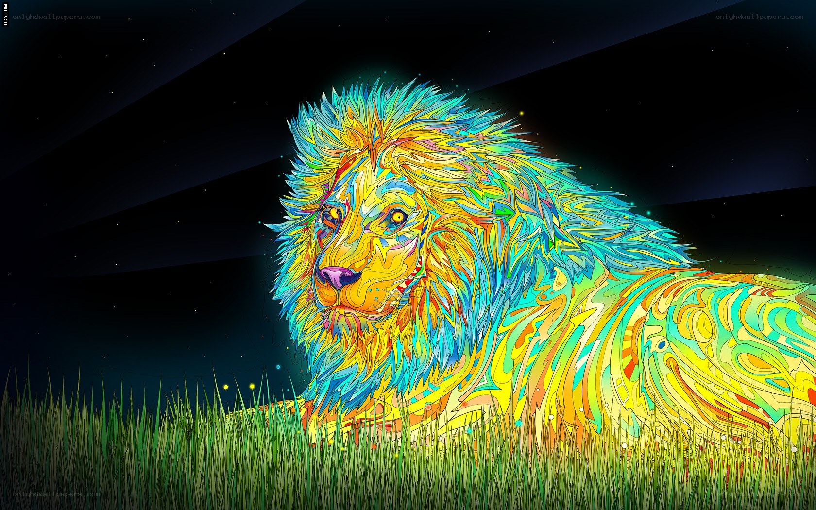 Colorful lion in grass
