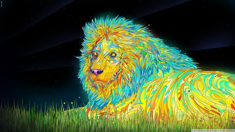 colorful lion in grass