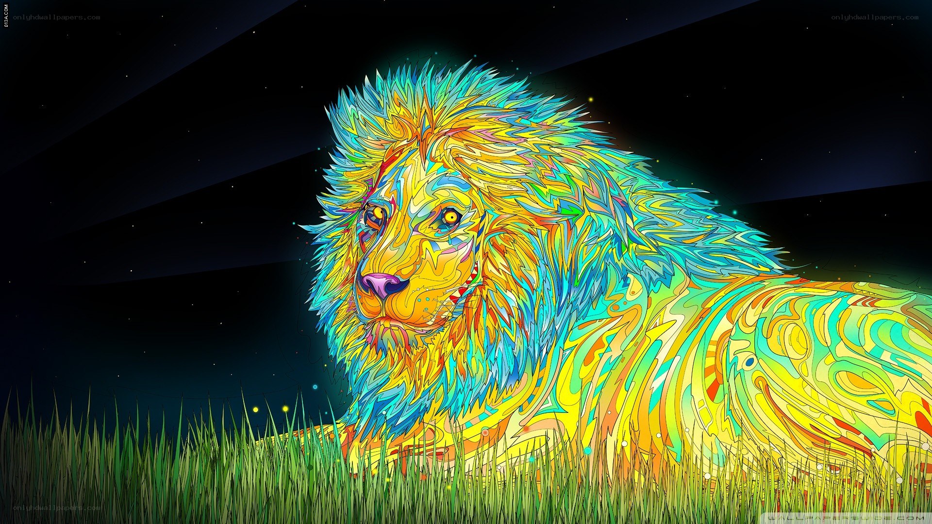 colorful lion in grass