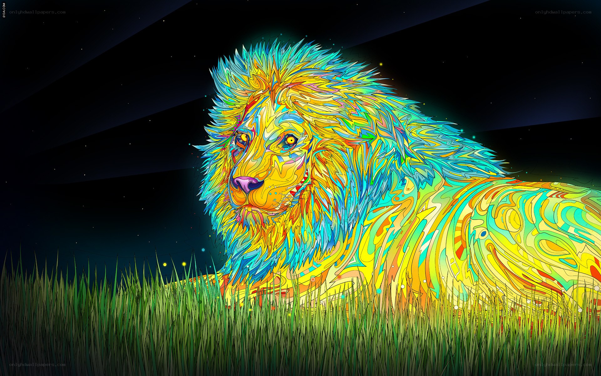 colorful lion in grass