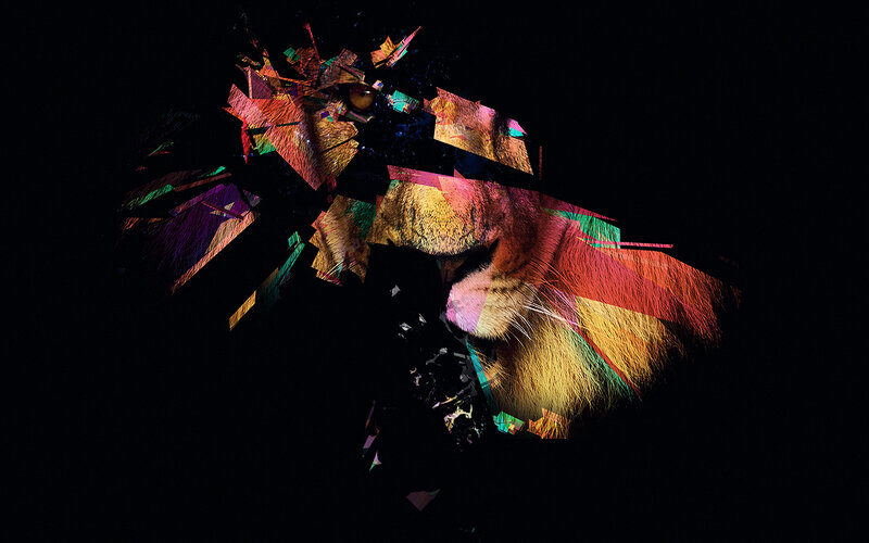 Colorful lion portrait collage