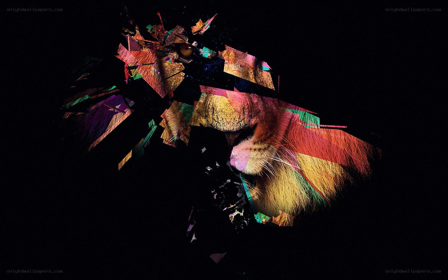 Colorful lion portrait collage