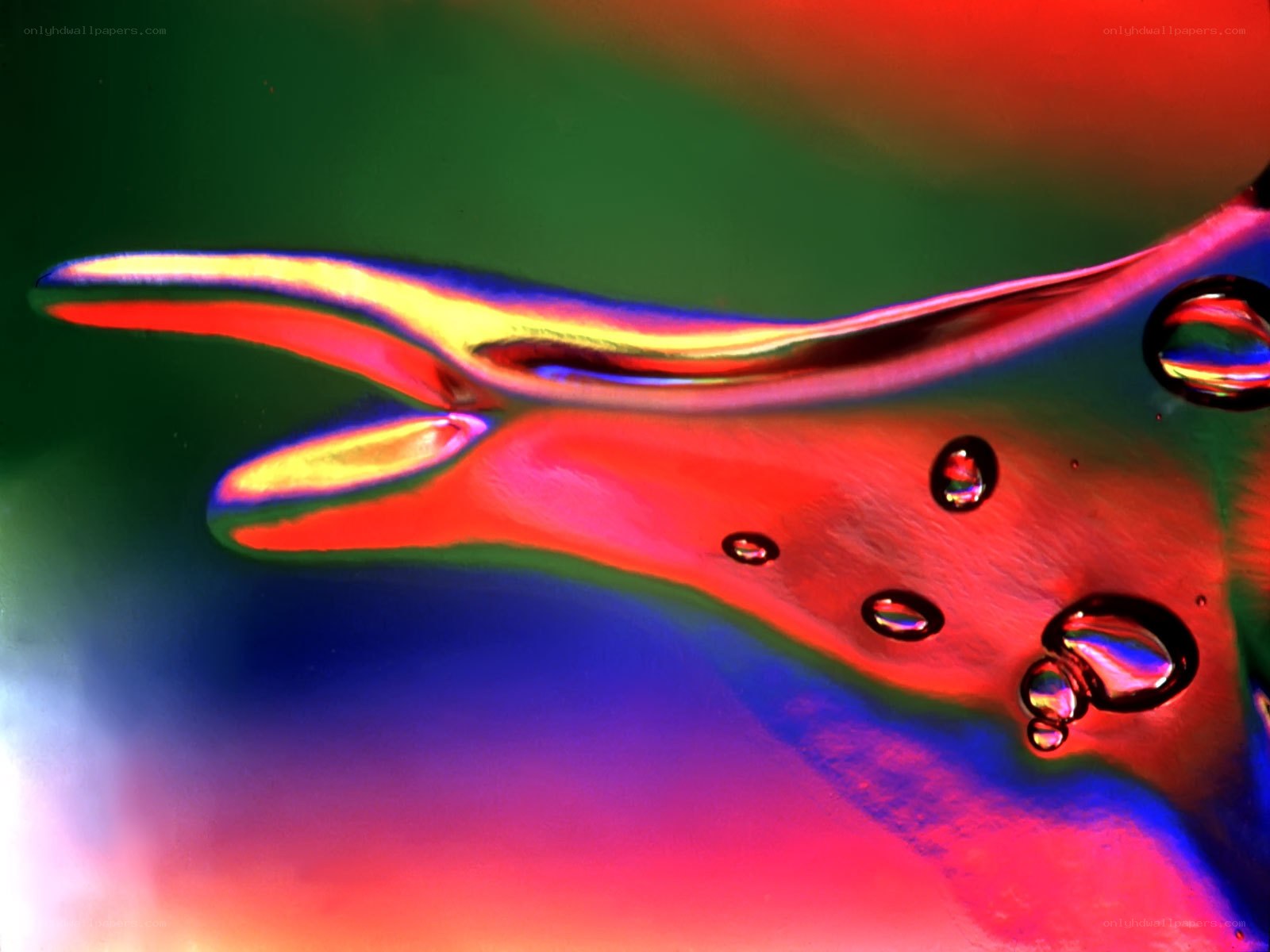 Colorful liquid abstract