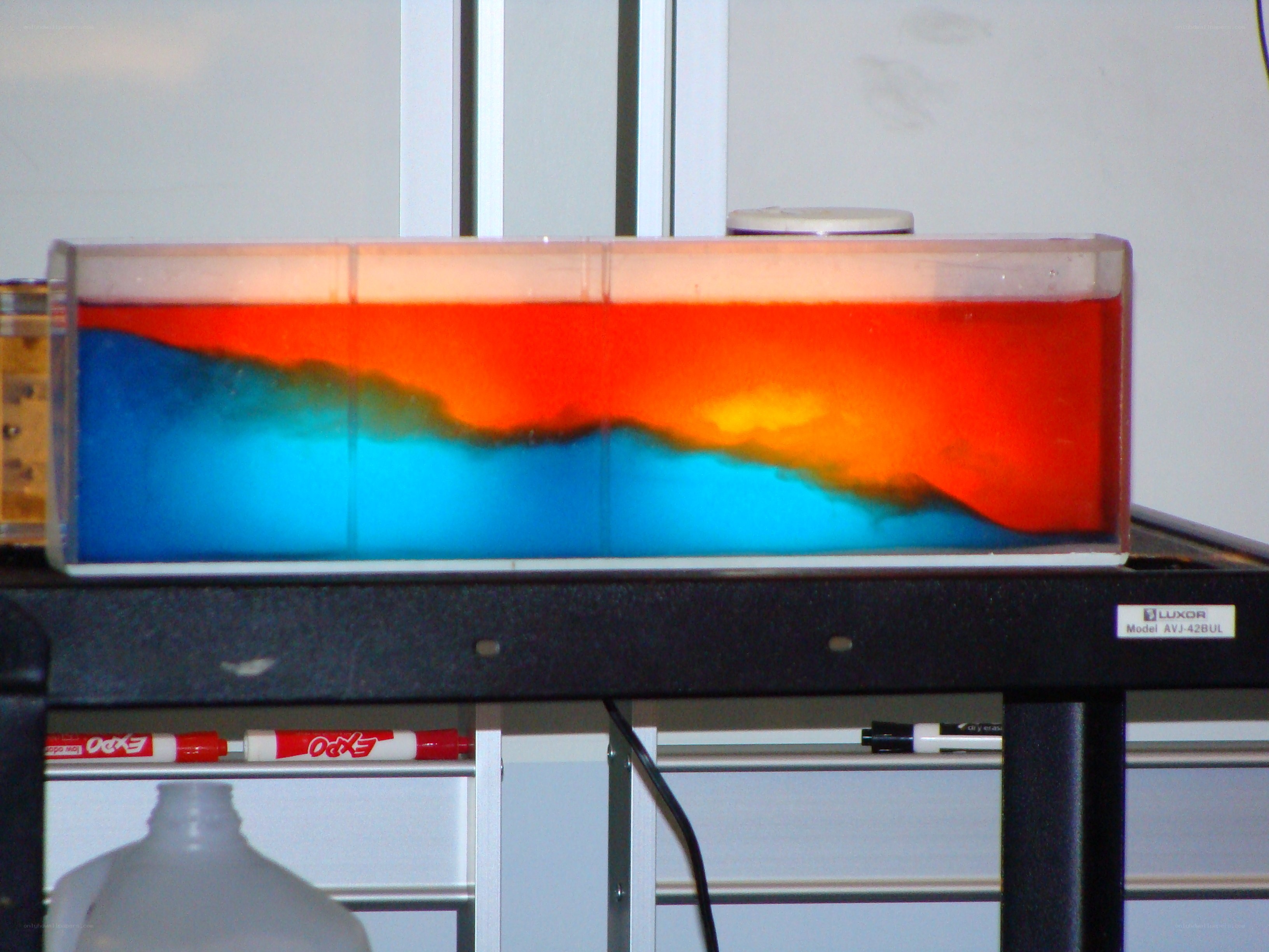 colorful liquid experiment