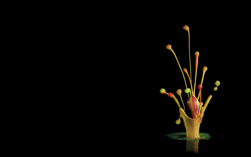 Colorful liquid splash