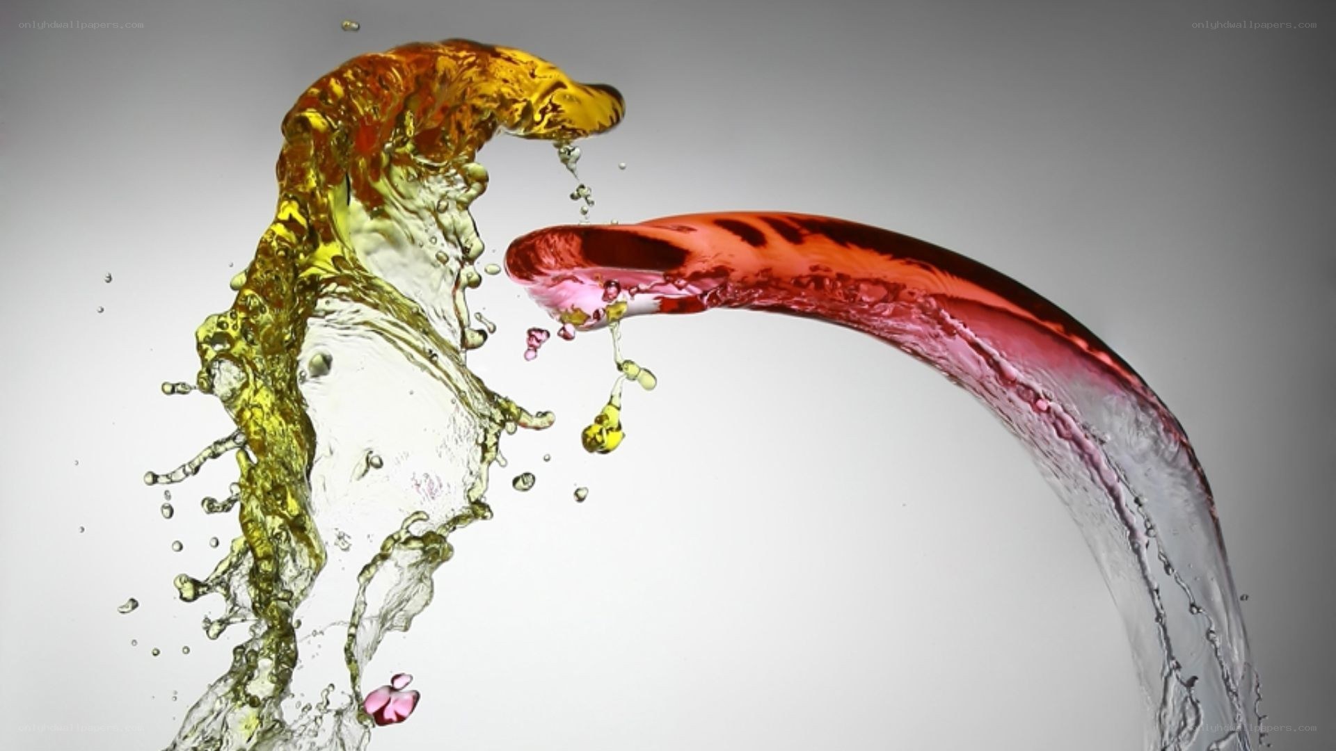 colorful liquid splashing
