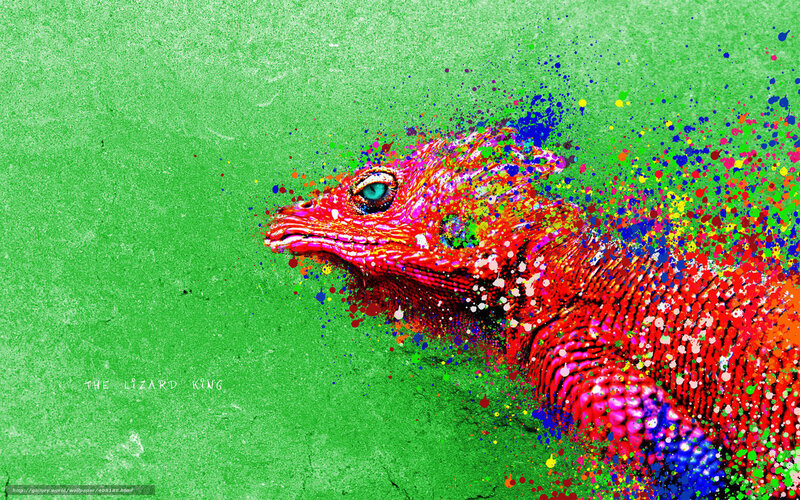 colorful lizard king