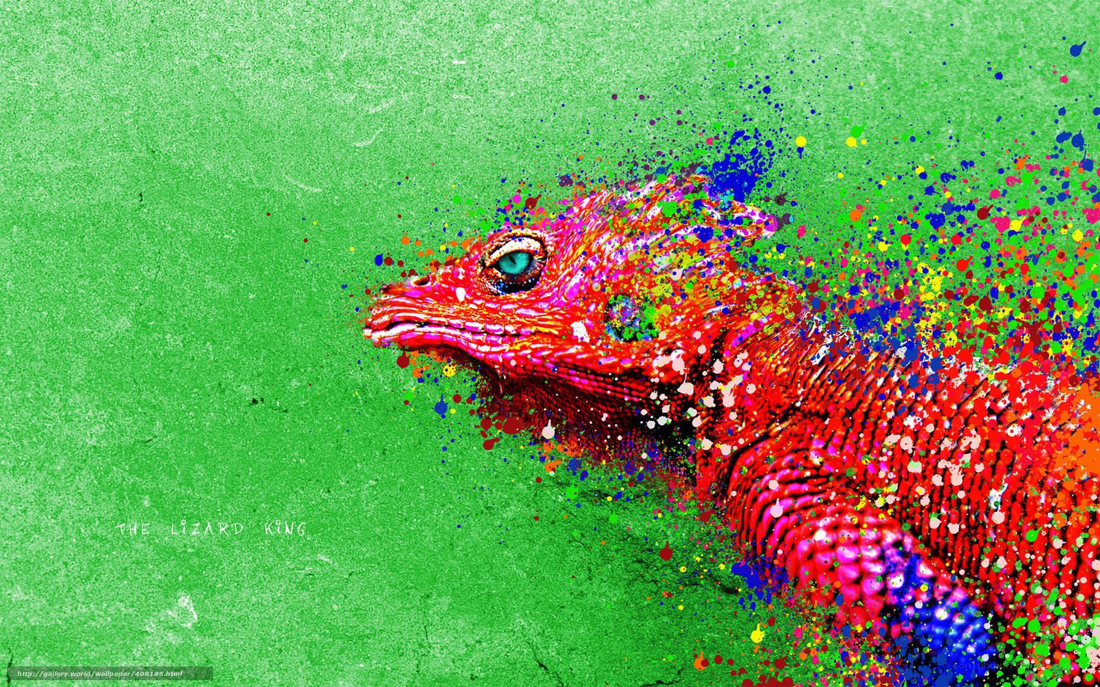 colorful lizard king