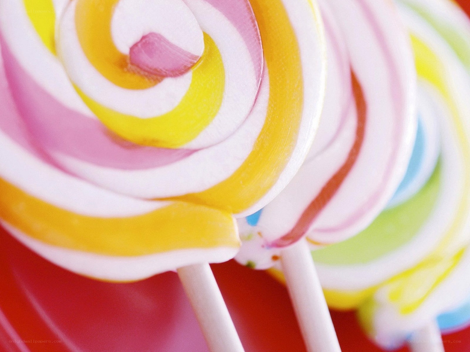 Colorful lollipops close-up