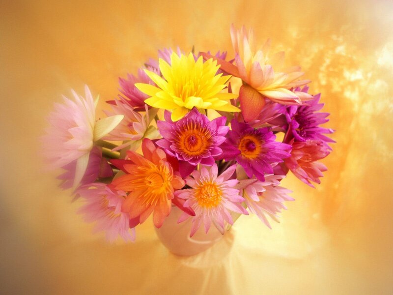 Colorful lotus flower bouquet