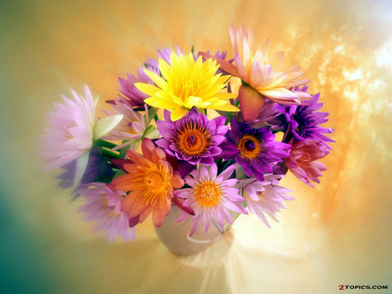 Colorful lotus flower bouquet