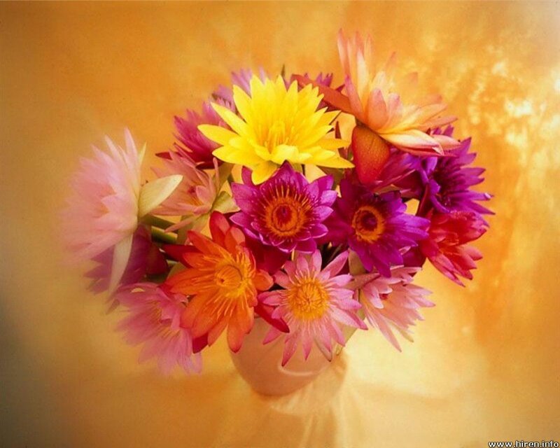 Colorful lotus flower bouquet